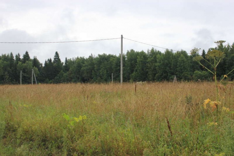 Земельный участок в деревне Волынщино 