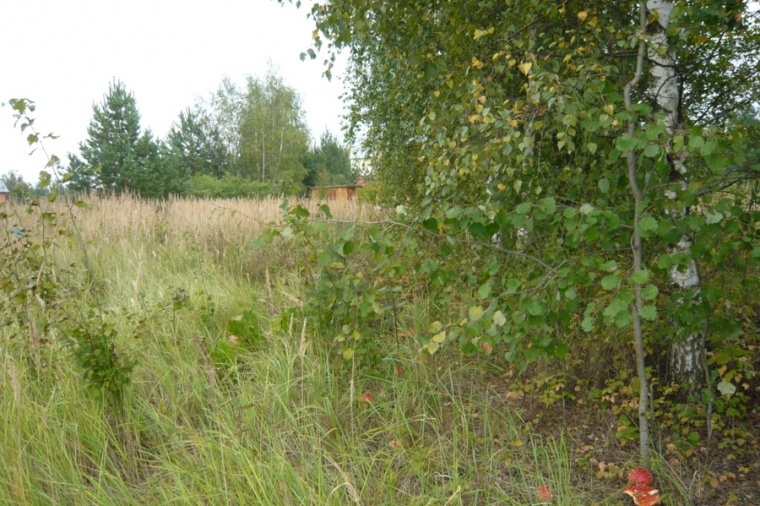 Земельный участок в деревне Шмеленки 