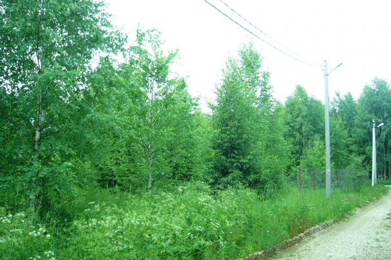 Земельный участок в Сергиево-Посадском районе