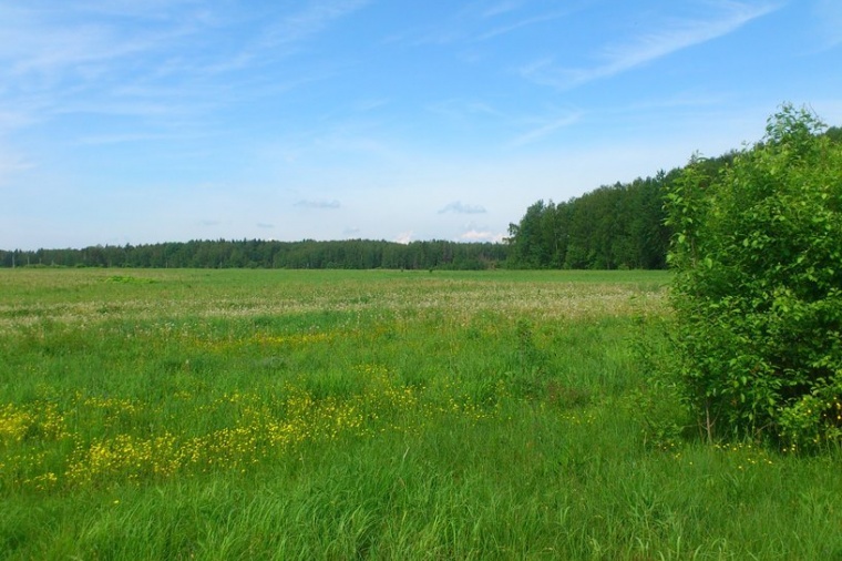 Земельный участок в деревне Иваньково 
