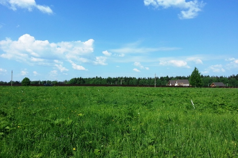 Земельный участок в поселке Зеленоградском 