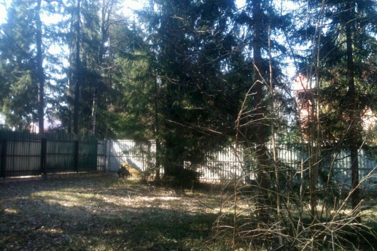 Земельный участок в деревне Афанасьево 