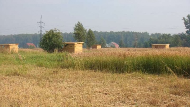 Земельный участок в деревне Цибино 