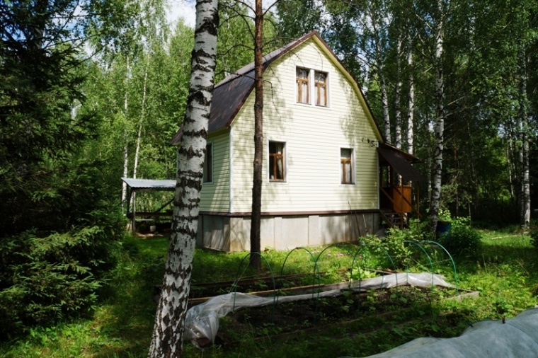 Дом в деревне Княжево 