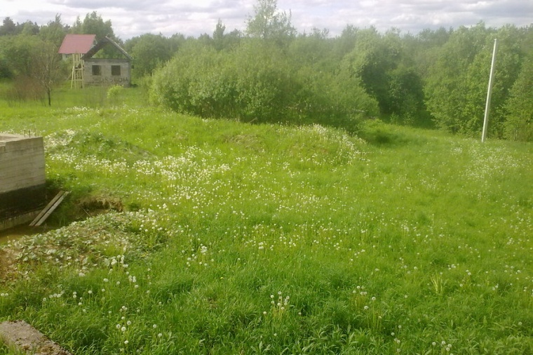 Земельный участок в поселок городского типа Сиверский