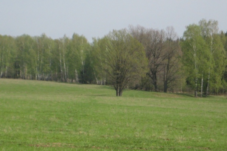 Земельный участок в деревне Бершово 