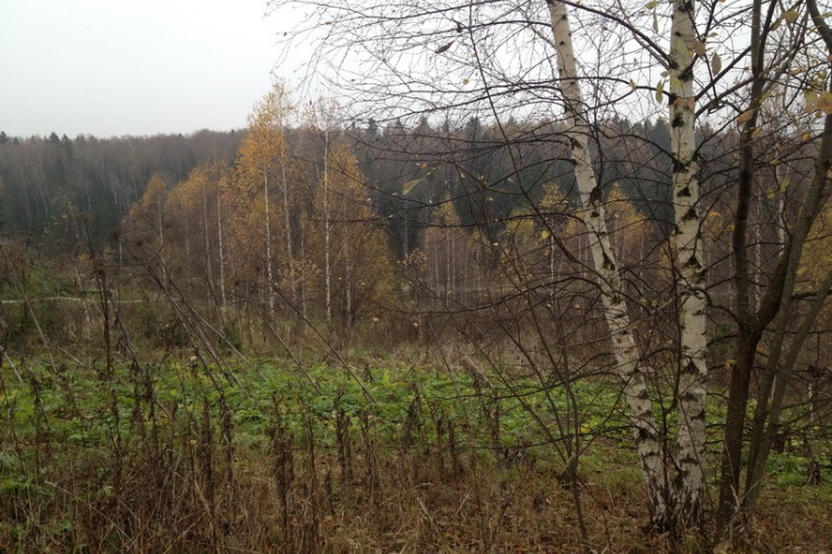 Земельный участок в деревне Мартьянково 