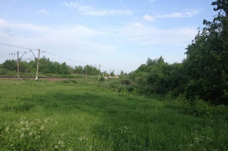 Земельный участок в деревне Цибино 