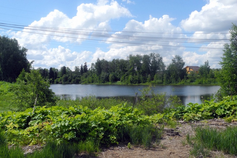 Земельный участок в Дмитровском районе