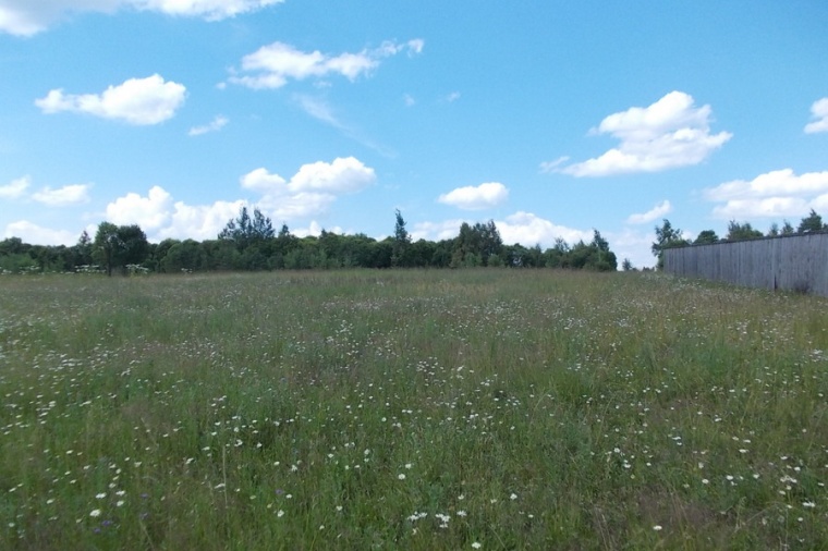 Земельный участок в деревне Сергиевом 