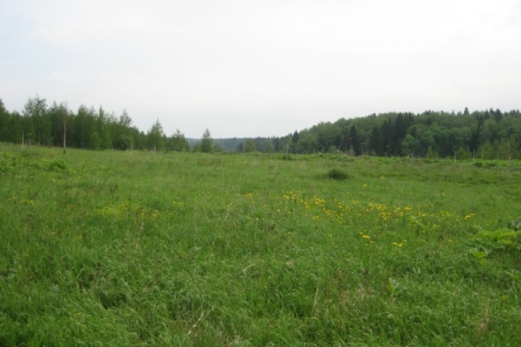 Земельный участок в селе Никоновском