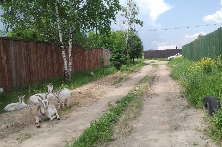 Земельный участок в поселок городского типа Белоозерский