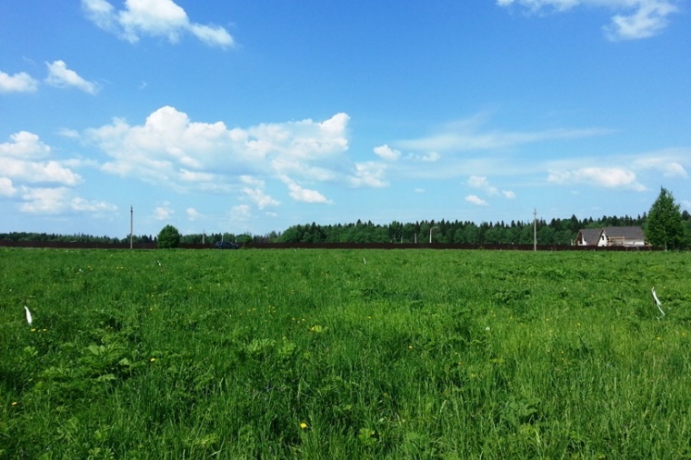 Земельный участок в деревне Мартьянково 