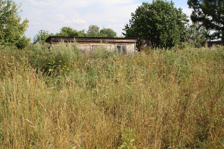 Земельный участок в деревне Романово 