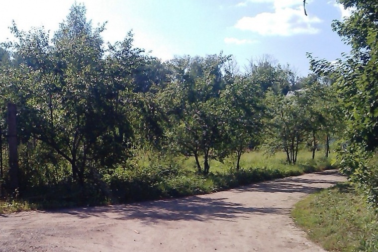 Земельный участок в деревне Шебочееве 