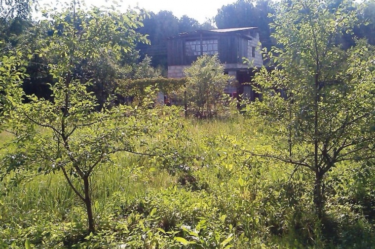 Земельный участок в деревне Шебочееве 