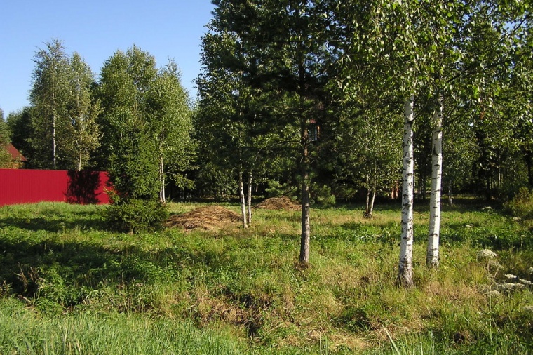 Земельный участок в деревне Огуднево 