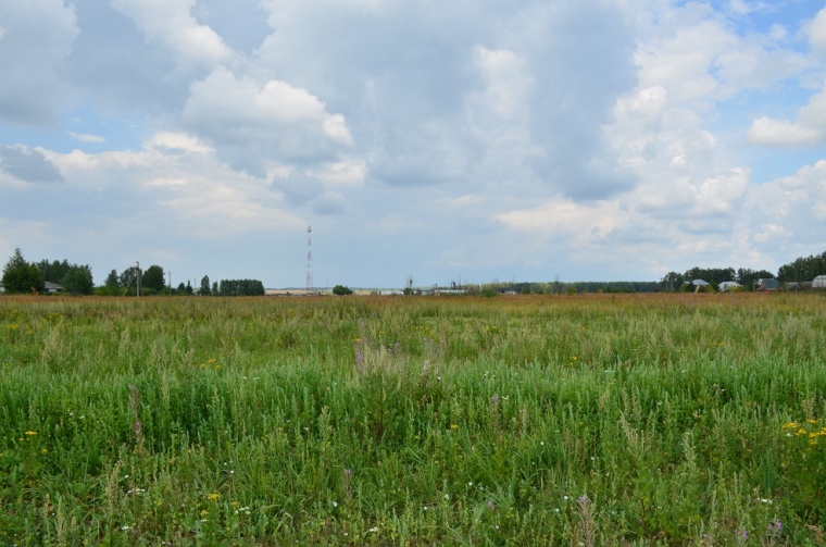 Земельный участок в селе Ивановском