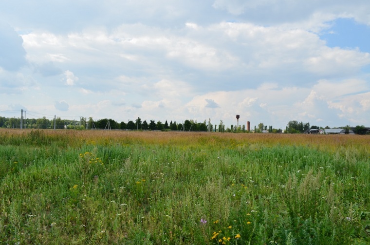 Земельный участок в селе Ивановском
