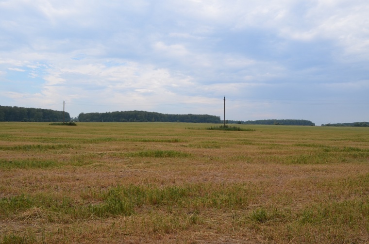 Земельный участок в деревне Толочаново 