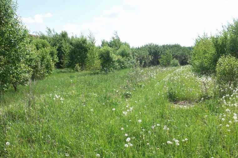 Земельный участок в селе Вельяминове