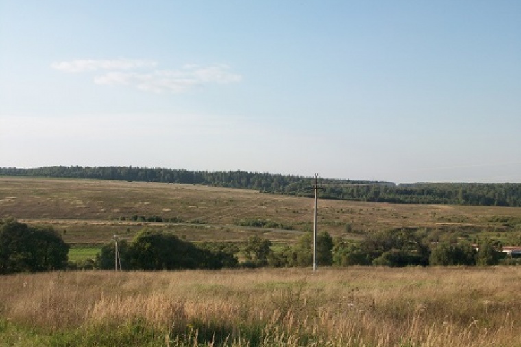 Земельный участок в деревне Починки 