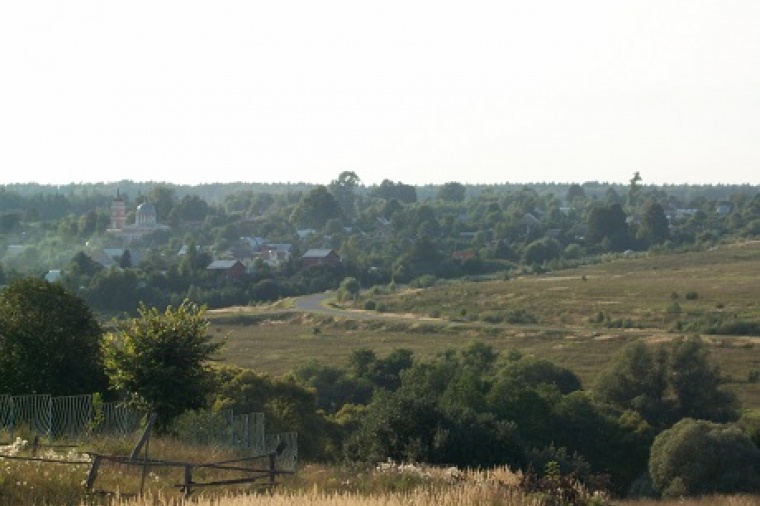 Земельный участок в деревне Починки 