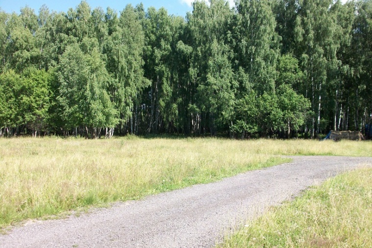 Земельный участок в деревне Троицко-Лобанове 