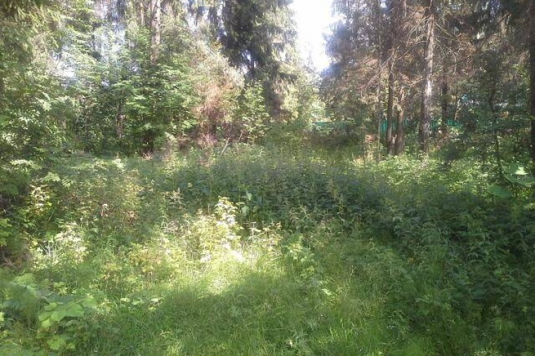 Земельный участок в поселок городского типа Поварово