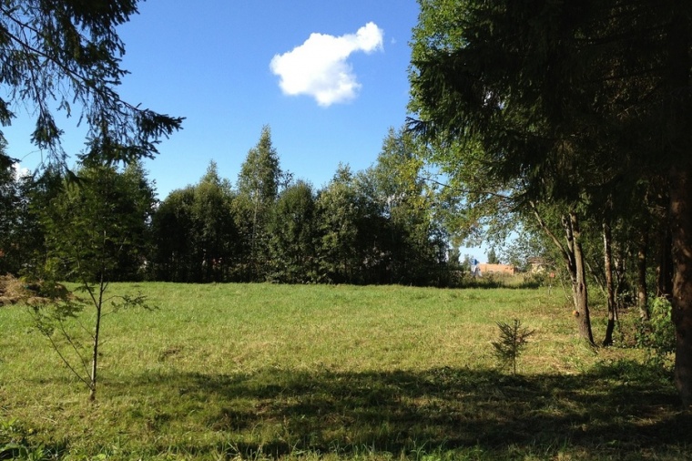 Земельный участок в деревне Жданове 