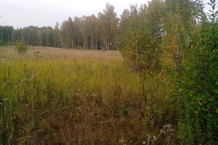Земельный участок в Гагаринском районе