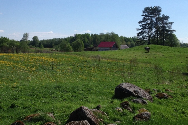 Земельный участок в деревне Лопухинке 