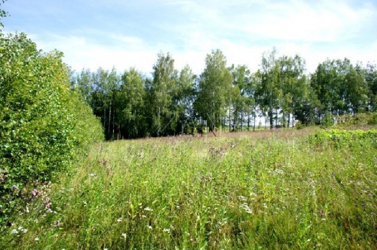 Земельный участок в деревне Арбузово 