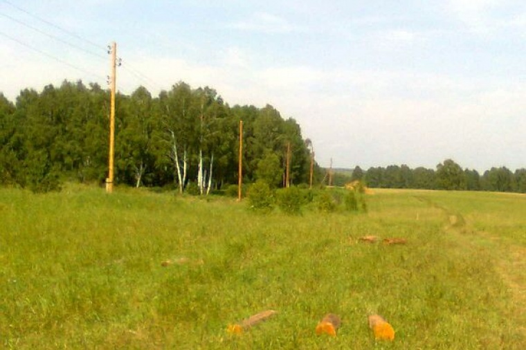 Земельный участок в Емельяновском районе