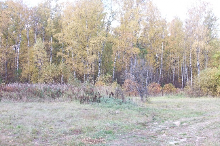 Земельный участок в деревне Проскурникове 