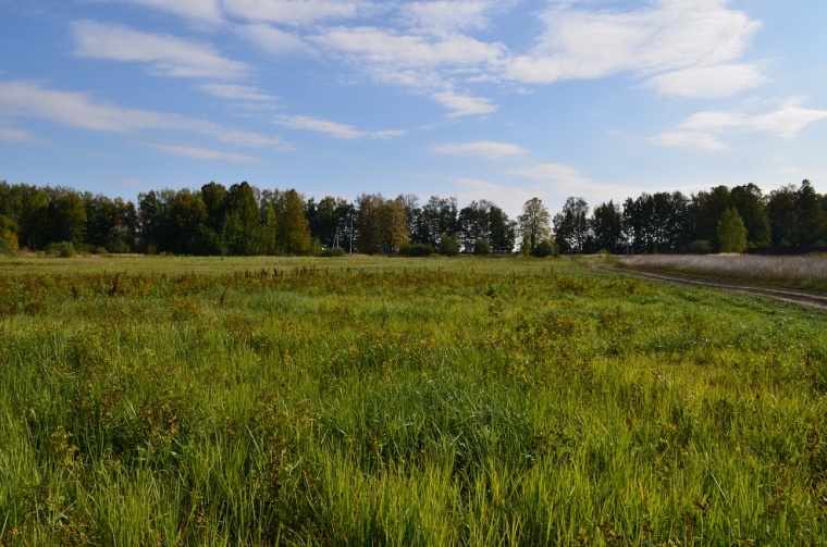 Земельный участок в деревне Игнатьево 