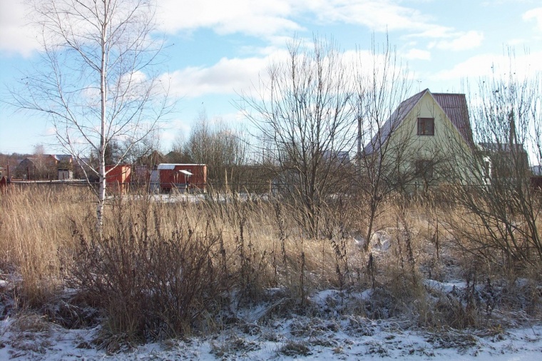 Земельный участок в деревне Ольгино 