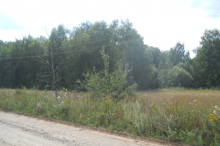 Земельный участок в деревне Путиловой Горе 