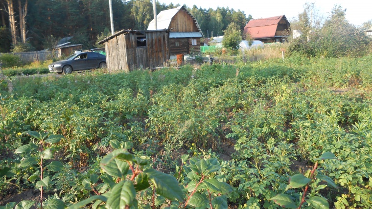 Земельный участок в городе Березовском