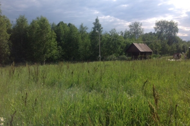 Земельный участок в деревне Чубарове 