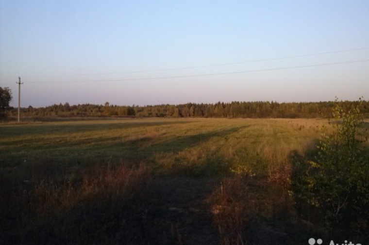 Земельный участок в деревне Антеплево 