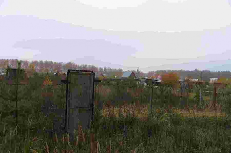 Земельный участок в деревне Сапронове 