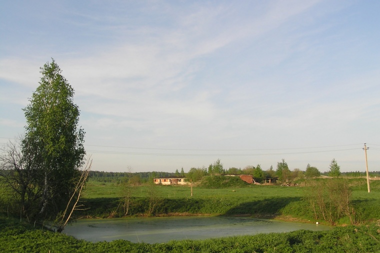 Земельный участок в деревне Душищево 