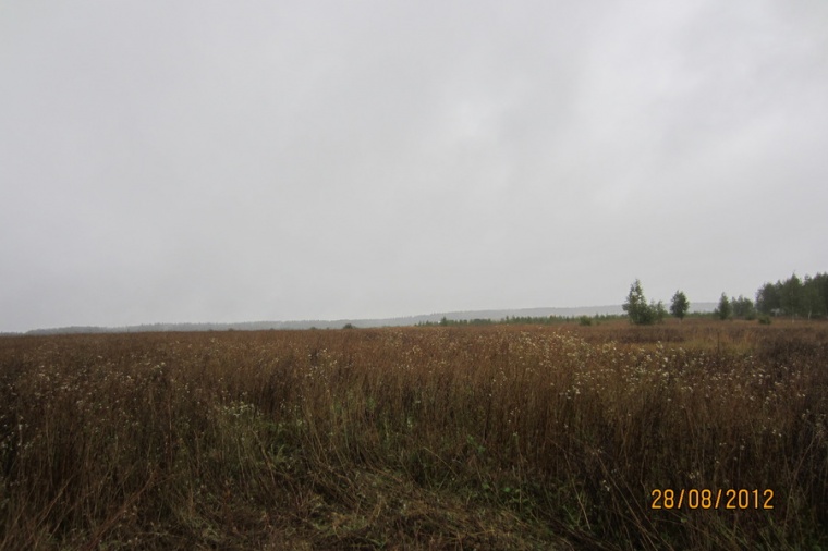 Земельный участок в деревне Денисьево 