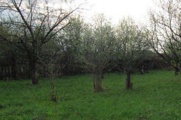 Земельный участок в деревне Ивановской 