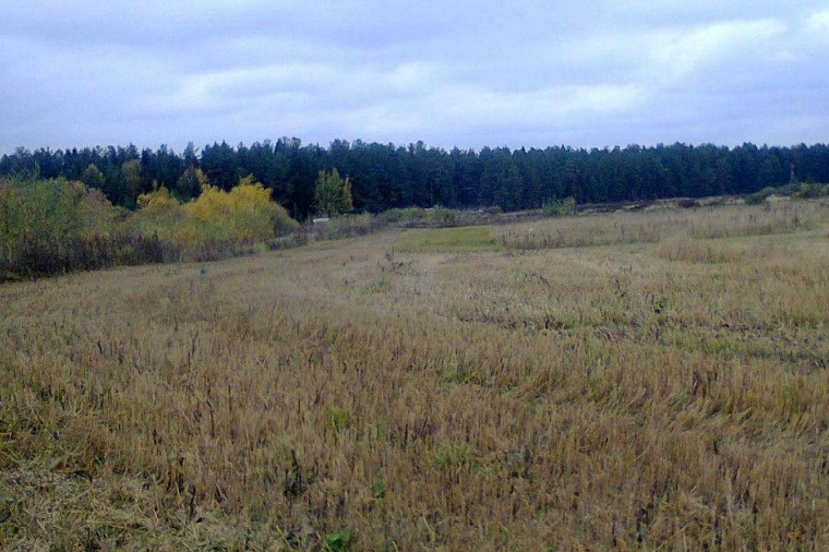 Земельный участок в деревня Нижние Булдаки 