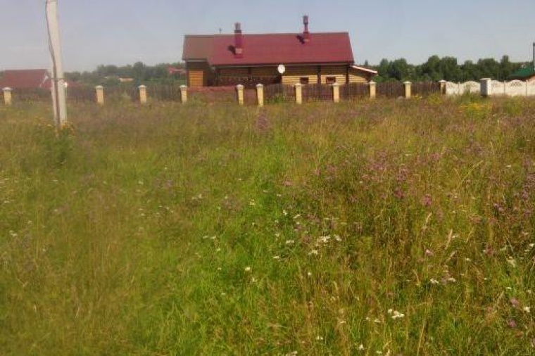 Земельный участок в поселке Некрасовском 