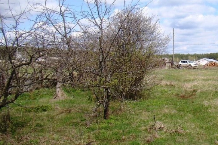 Земельный участок в Владимирской области