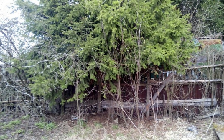 Земельный участок в городе Балашихе