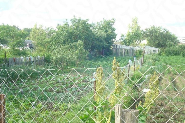 Земельный участок в Смоленской области